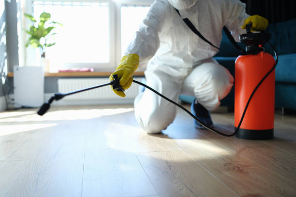 Reliable Sewage Cleanup contractor in Troy, IL by Dulley Family Biohazard Services